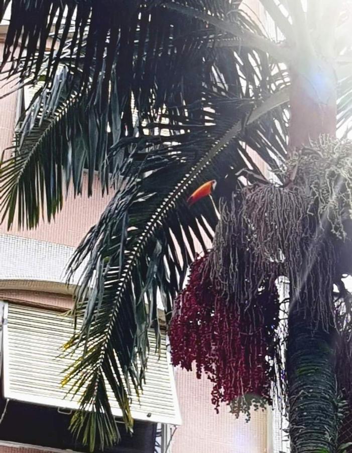 Appartamento Cavalinho Branco Águas de Lindóia Esterno foto